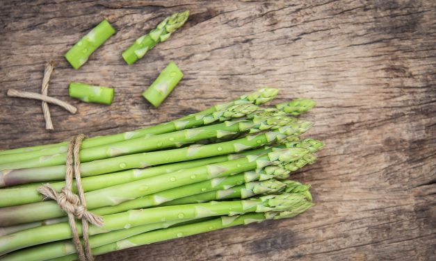Šparoge – istražite jelovnike s delicijom Mediterana