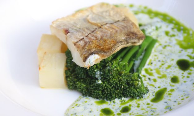 Cipal čistog mora – zaboravljena delicija Mediterana