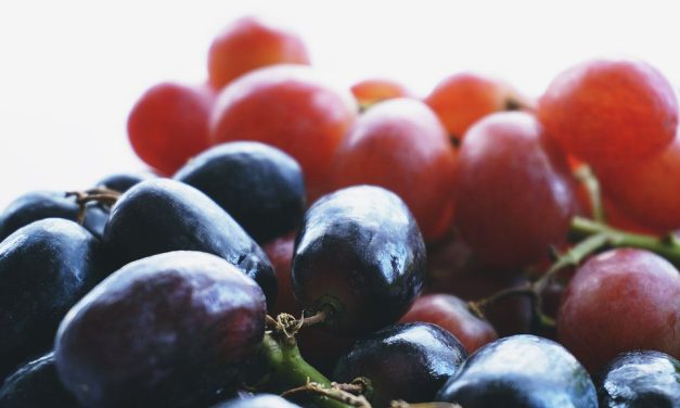 Ledena vina – dar prirode i umijeće stvaranja