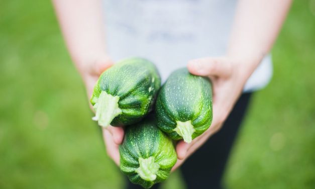 Tikvice kao gastro užitak – od ploda do cvijeta
