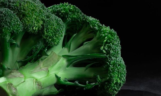 Zdrave i hranjive kupusnjače za hladnije dane