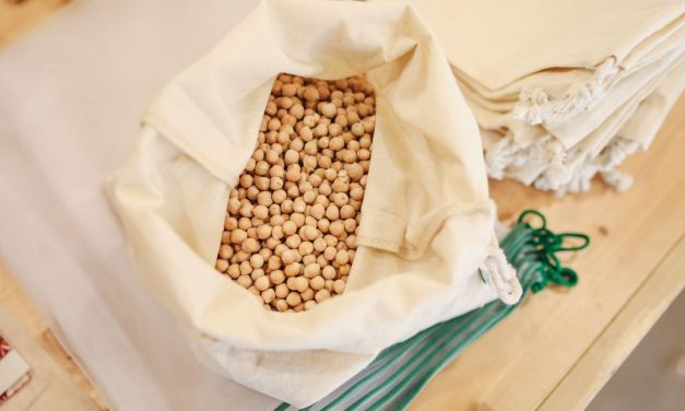 Maneštre i juhe od boba i slanutka