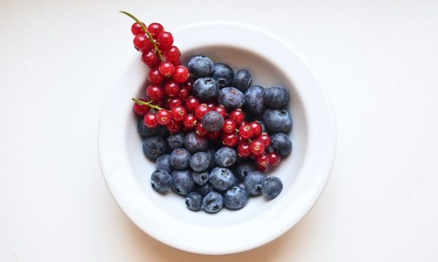 Autentične hrvatske poslastice od borovnica i ribizle