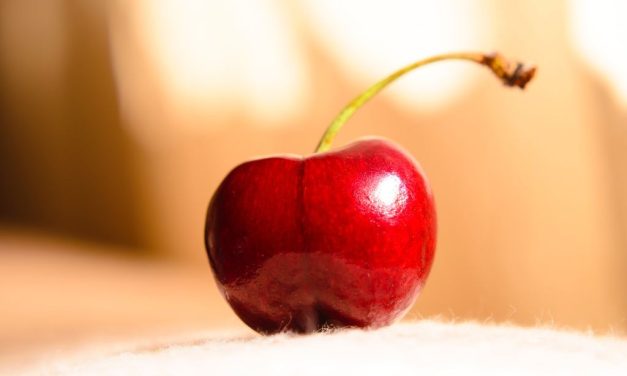 Višanja – vrhunski kuhari otkrivaju tajne slastica