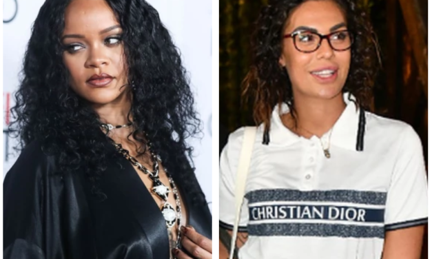 „Izvini RIJANA, NISAM TE PREPOZNAO“ Tviter gori zbog Mine Vrbaške, slike govore više od reči