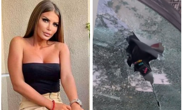 „Nasilnik!“  Dragani Mitar POkvaren AUTO!  Photo