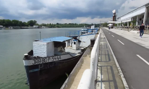 Momirović: Rečni saobraćaj ključan za snabdevanje energentima