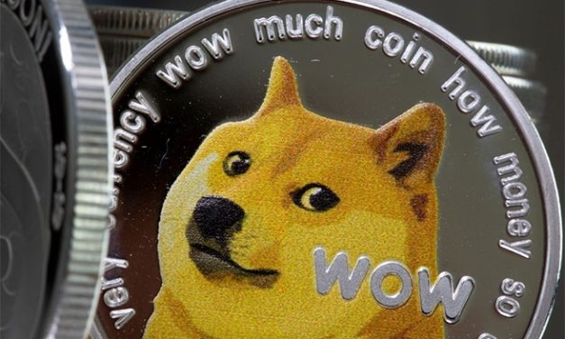 Kriptoverza – ptičica izašla iz kaveza, a dogecoin poleteo