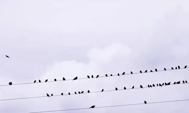 Isključenja struje u Šapcu i Loznici