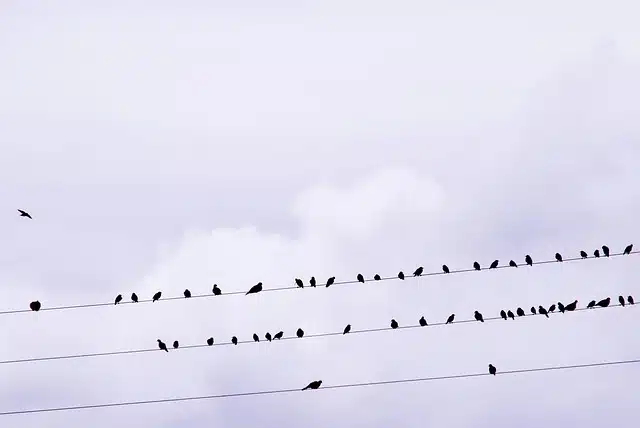 Isključenja struje u Šapcu i Loznici