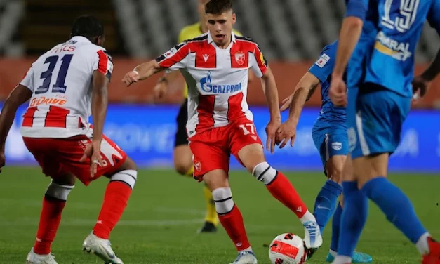 Terzić o Motiki: „Došao nadobudan iz Bajerna“