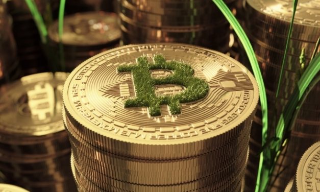 Da bi se neutralisala šteta koju izaziva Bitcoin rudarenje potrebno je posaditi 431,6 miliona stabala drveća