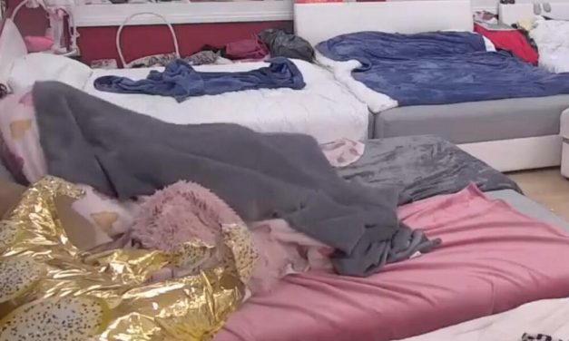 JORGAN PLANINA se nije tresla nego EKSPLODIRALA – I TO U UŽIVO programu! Zadrugari u šoku…