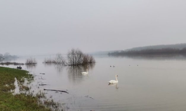 Vodostaj u porastu: Redovna odbrana od poplava biće uvedena na reci Savi kod Šapca