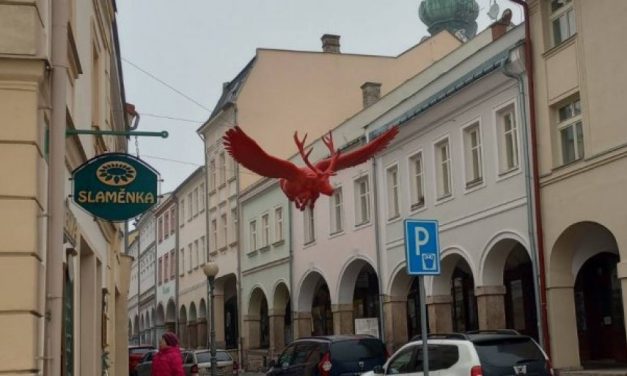 KAPITALAC U MAGIJI UMETNOSTI: Reporter „Novosti“ u susretu sa jelenom, u Gradskoj galeriji Trutnova