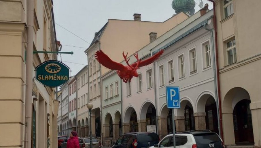 KAPITALAC U MAGIJI UMETNOSTI: Reporter „Novosti“ u susretu sa jelenom, u Gradskoj galeriji Trutnova
