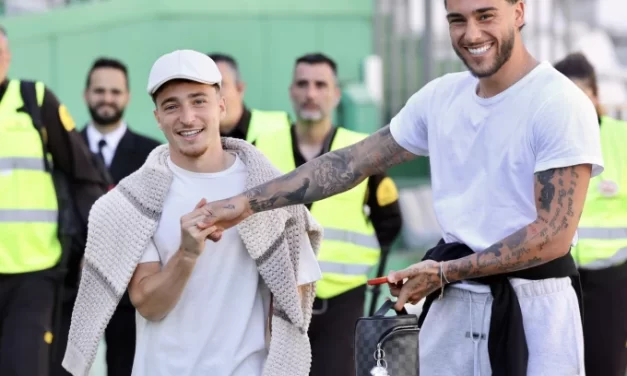 Brat Nemanje Gudelja se srušio na teren usred meča, posle reanimacije stabilno