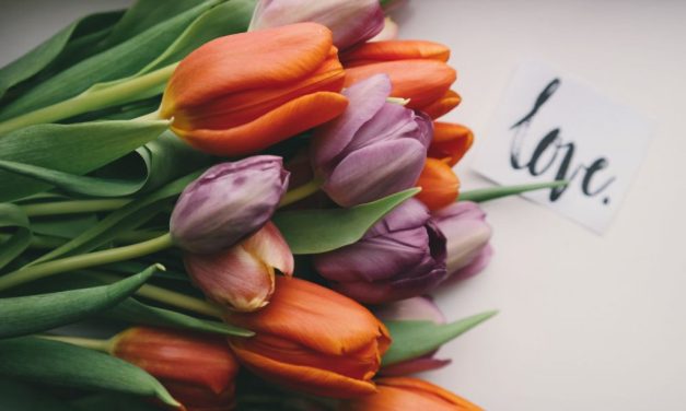 Ljubazni horoskop za 9. april: Ovaj spreman da se zaljubi, Blizanci čekaju ljubav iz snova, Rak nestabilan