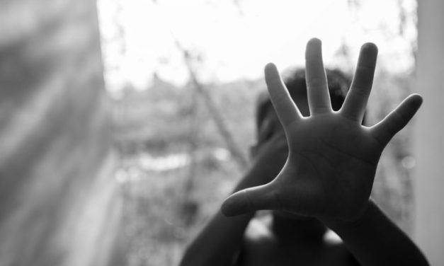 Dečak u Mičigenu praćkom spasao sestru od otmičara: Uhapšen tinejdžer (17)