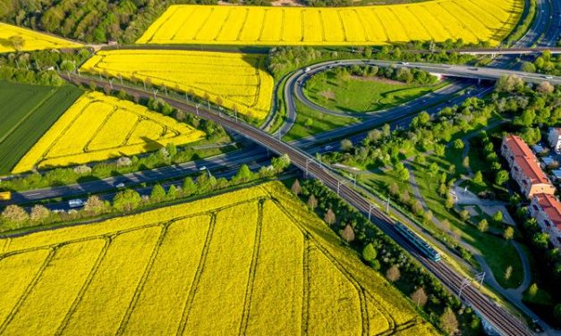 Nepregledna žuta polja, pod konac: Pruge i auto-put okruženi procvetanim poljima uljane repice u Frankfurtu