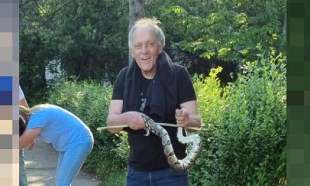 Subotičanin savladao pitona dok su deca pored igrala fudbal: „Obmotao mi se oko ruke i užasno stiskao“