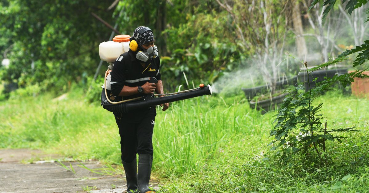 Honduras proglasio vanredno stanje zbog denga groznice: „Ušli smo u zonu epidemije, porast u celoj zemlji“