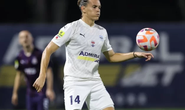 Pančevci na korak od opstanka, ali nada Inđije „živi“ pred revanš