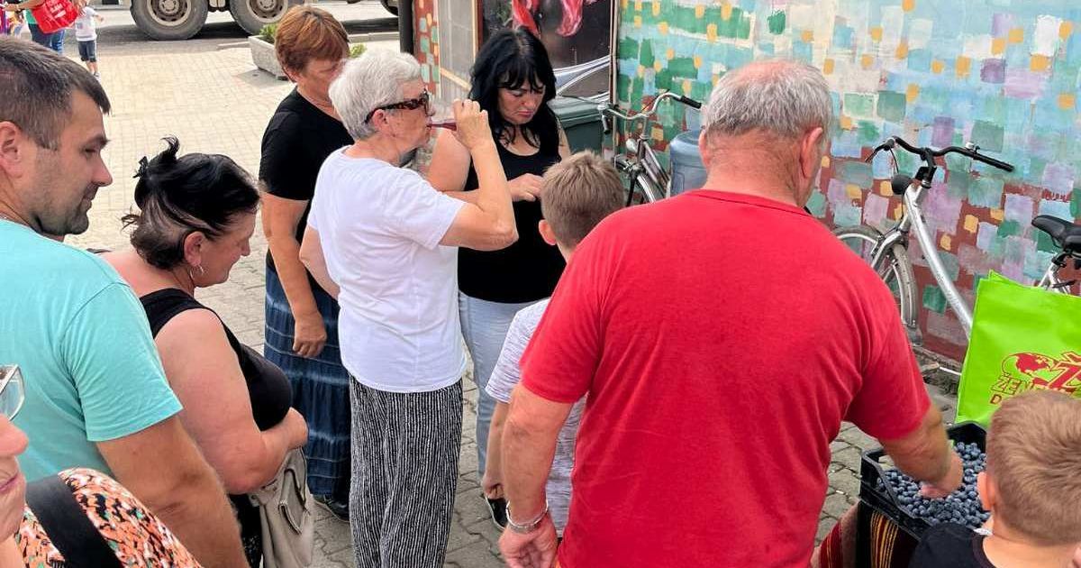 Prvi festival „Dani borovnice“ ostao u srcu svih posetilaca: Muzika i specijaliteti „plavog zlata“