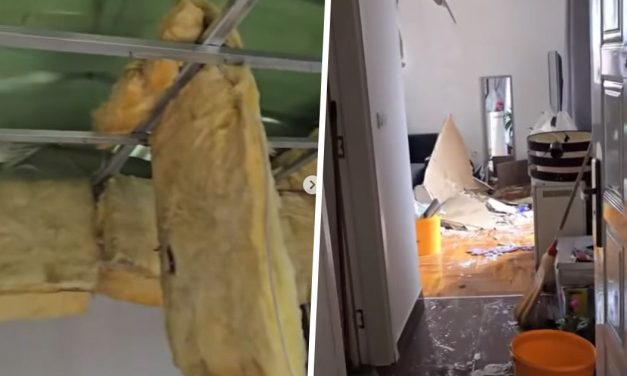 Plafon se oljuštio i propao, sve kao da je od kartona: Pogledajte šta je oluja napravila od stana u Beogradu