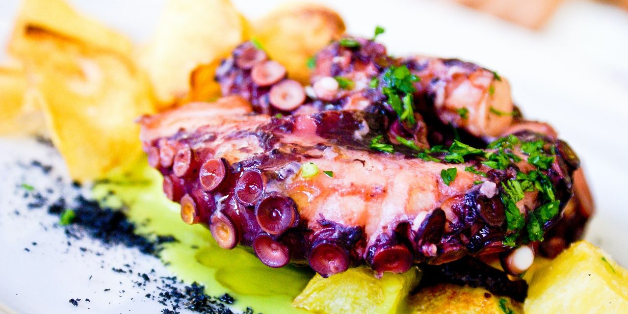 Hobotnica – idealna namirnica za domišljate gurmane