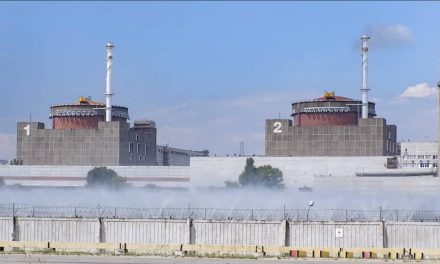 IAEA: Granatiranjem oštećen dalekovod za snadbevanje nuklearke Zaporožje