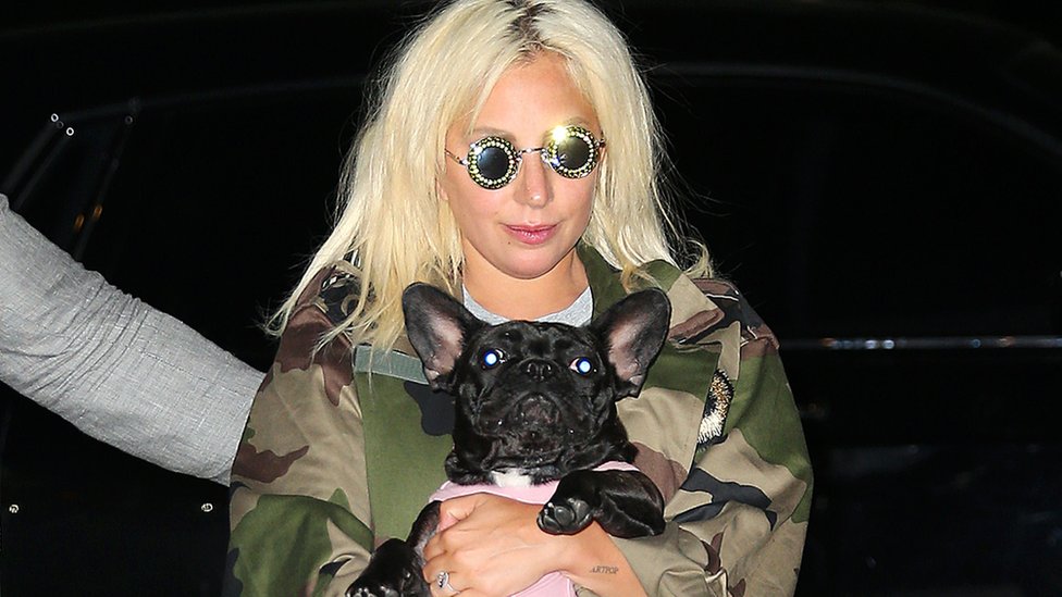 Lejdi Gaga: Napadač koji je ranio šetača pasa pevačice osuđen na 21 godinu zatvora