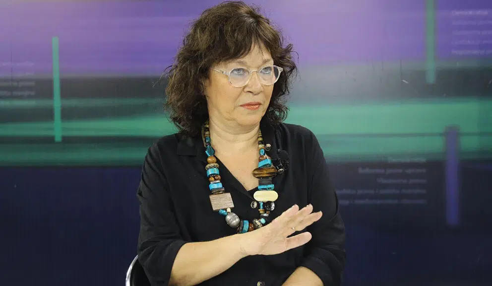 Dubravka Stojanović: Vlast koristi ideju da smo okruženi neprijateljima