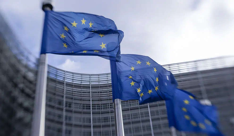 Zajednička pozicija EU o Planu rasta za ZB: Preduslovi pošteni izbori i primena dogovora iz Ohrida