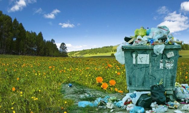 „Zavrni rukave“: Akcija čišćenja na 313 lokacija u Srbiji u nedelju