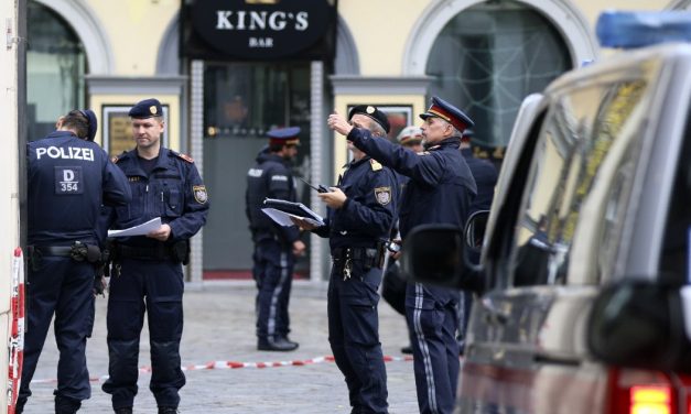 Nepoznati muškarac devojčicu (4) izbo u prodavnici naočigled majke: Kupci mu oteli nož, on pobegao