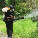 Honduras proglasio vanredno stanje zbog denga groznice: „Ušli smo u zonu epidemije, porast u celoj zemlji“