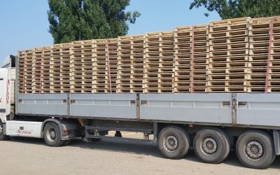 Palete po meri za veću robu: kada velike palete donose stvarnu poslovnu korist