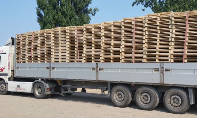 Palete po meri za veću robu: kada velike palete donose stvarnu poslovnu korist
